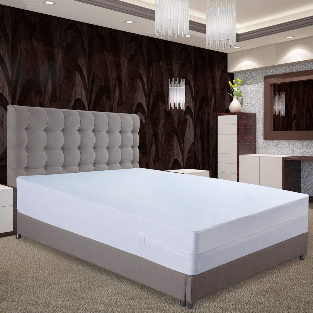 12 Best Mattress Encasements in 2024