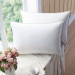 WENERSI Premium Goose Down Pillows with Feather Blended