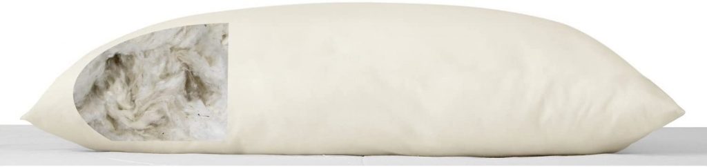 Magnolia Organics Organic Cotton Pillow