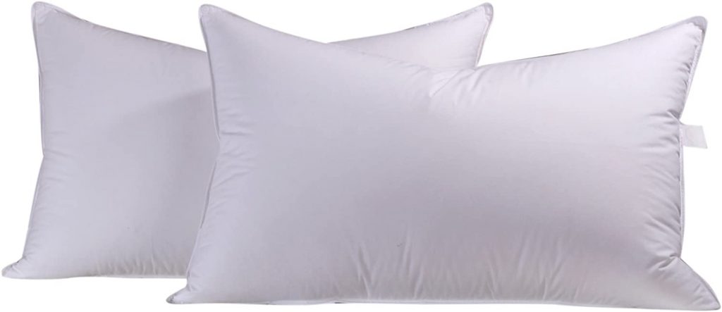 Eastwarmth Bedding Natural Goose Down & Feather Pair Pillows for Sleeping, Set of 2, 100% Organic Cotton