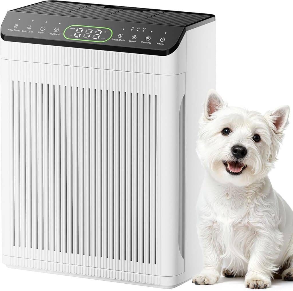 ET066 Large-Room Air Purifier